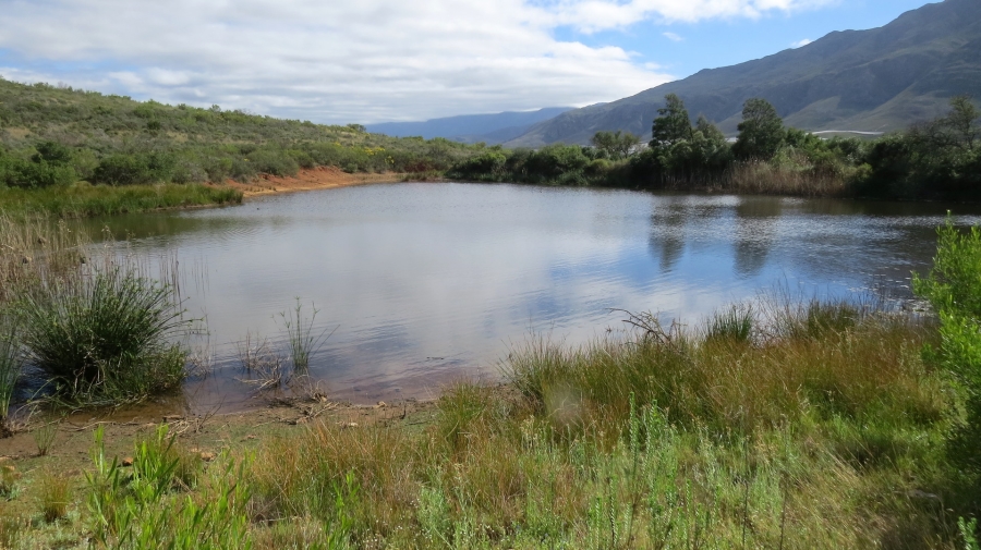 Commercial Property for Sale in Swellendam Rural Western Cape